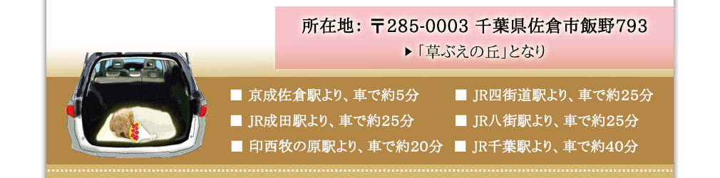 ybg쉀qTChy܂ł̃ANZX